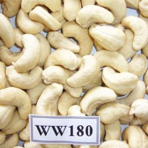 Cashew nuts WW180-Vietnam Raw Cashews