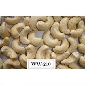 Cashew nuts WW210-Vietnam Raw Cashews