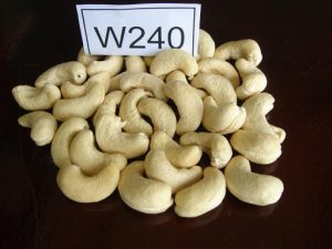 Cashew nuts WW240-Vietnam Raw Cashews