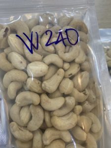 Cashew nuts WW240-Vietnam Raw Cashews